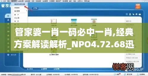 管家婆一肖一码必中一肖,经典方案解读解析_NPO4.72.68迅捷版