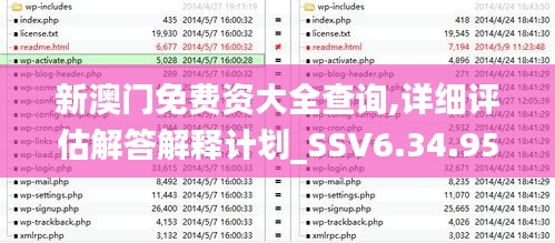 新澳门免费资大全查询,详细评估解答解释计划_SSV6.34.95理想版