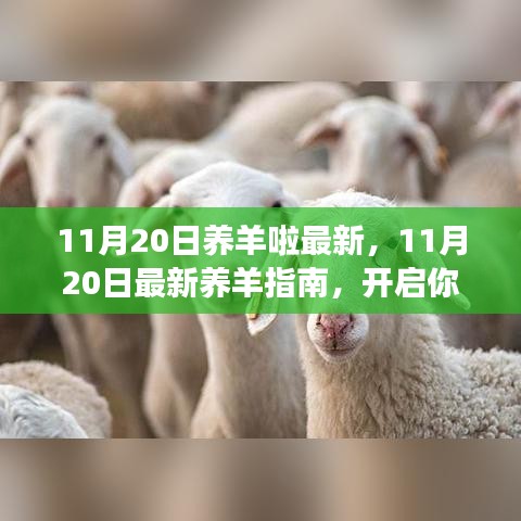 11月20日最新养羊指南，开启繁荣的羊群之旅