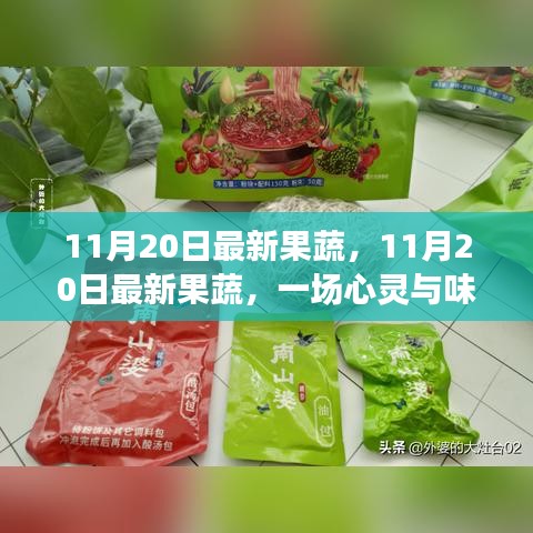 11月20日最新果蔬盛宴，心灵与味蕾的双重旅行