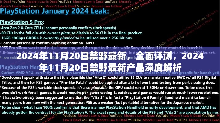 深度解析，2024年11月20日禁野最新产品全面评测与深度解析