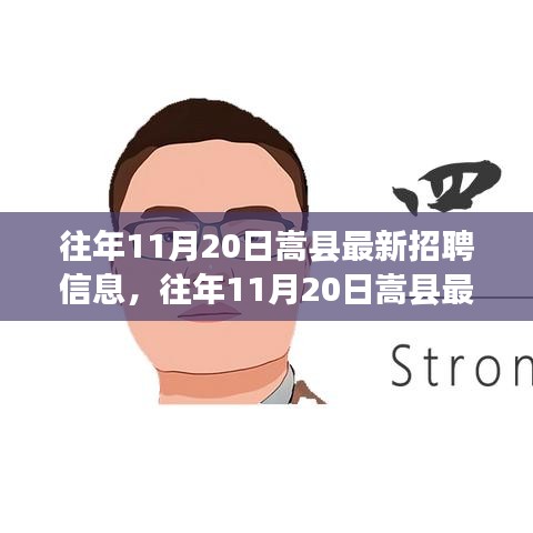 嵩县最新招聘动态及求职指南（往年11月20日）