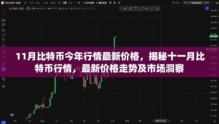 揭秘十一月比特币行情，最新价格、走势及市场洞察