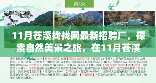 探索自然美景之旅，在苍溪找找网最新招聘厂寻找内心的宁静与平和