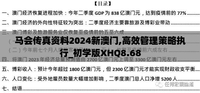 马会传真资料2024新澳门,高效管理策略执行_初学版XHQ8.68