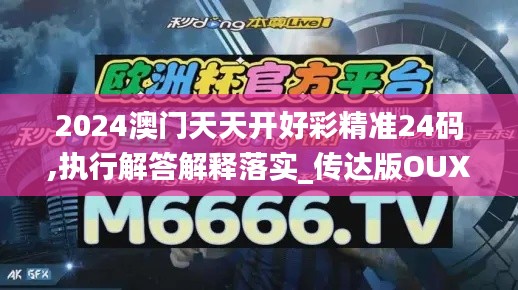 2024澳门天天开好彩精准24码,执行解答解释落实_传达版OUX2.25