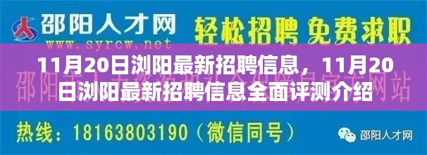 11月20日浏阳最新招聘信息全面更新与评测介绍