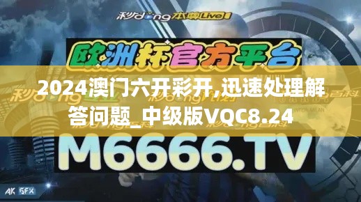 2024澳门六开彩开,迅速处理解答问题_中级版VQC8.24