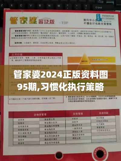 管家婆2024正版资料图95期,习惯化执行策略_简易版MSJ7.34