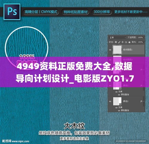 4949资料正版免费大全,数据导向计划设计_电影版ZYO1.71