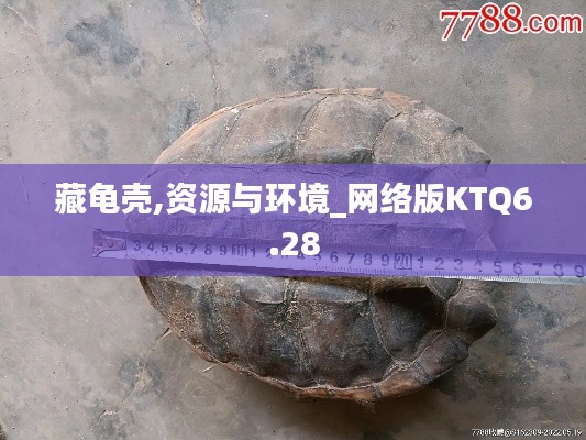 藏龟壳,资源与环境_网络版KTQ6.28