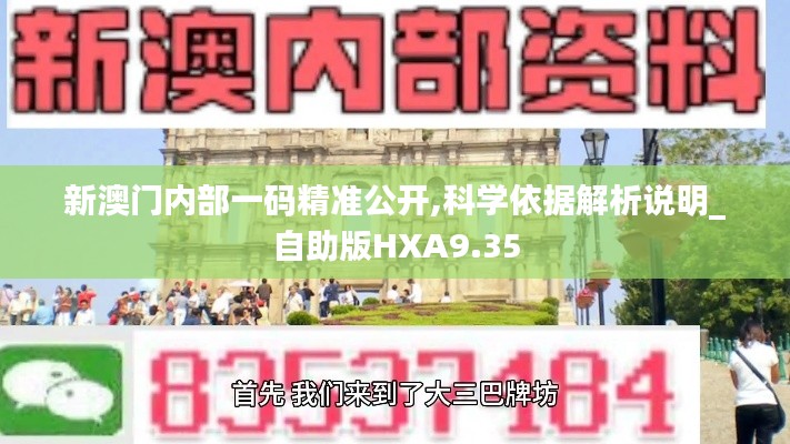 新澳门内部一码精准公开,科学依据解析说明_自助版HXA9.35