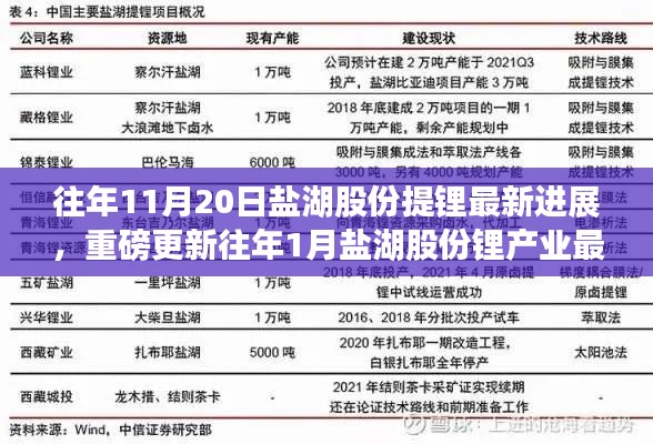 盐湖股份提锂技术革新深度解析与产业前景展望