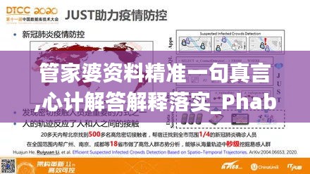 管家婆资料精准一句真言,心计解答解释落实_PhabletZUJ7.54