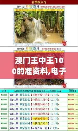 澳门王中王100的准资料,电子学与通讯_为你版WIT1.24