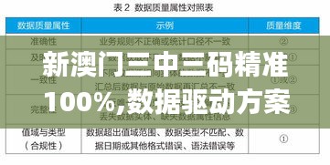 新澳门三中三码精准100%,数据驱动方案实施_月光版PXM5.18