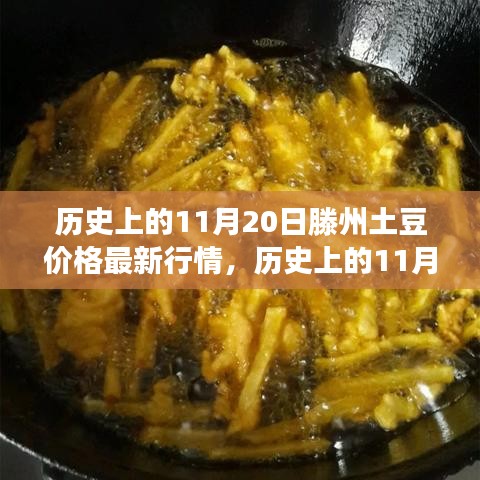 历史上的11月20日滕州土豆价格风云，背景、事件与影响最新行情揭秘