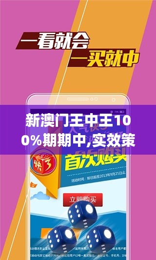 新澳门王中王100%期期中,实效策略设计_工具版MFT3.73