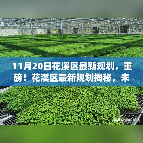 重磅揭秘，花溪区未来蓝图——11月20日最新规划曝光