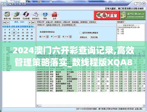 2024澳门六开彩查询记录,高效管理策略落实_数线程版XQA8.47