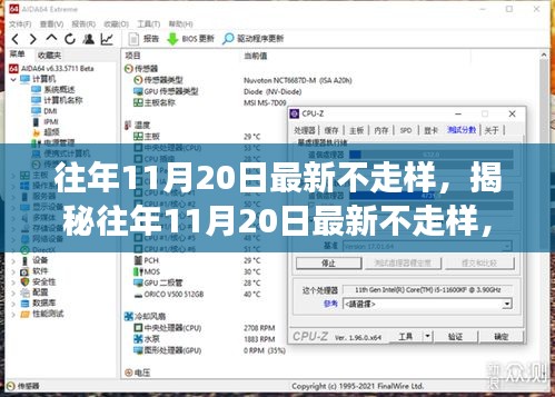 揭秘往年11月20日最新不走样深度解读三大要点解析