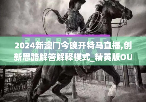 2024新澳门今晚开特马直播,创新思路解答解释模式_精英版OUR4.26