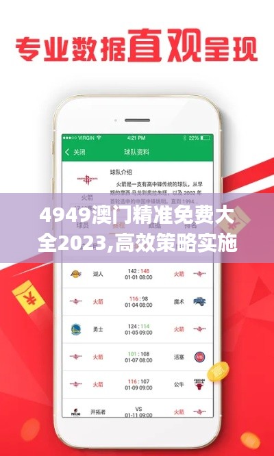 4949澳门精准免费大全2023,高效策略实施_多维版TLG3.27