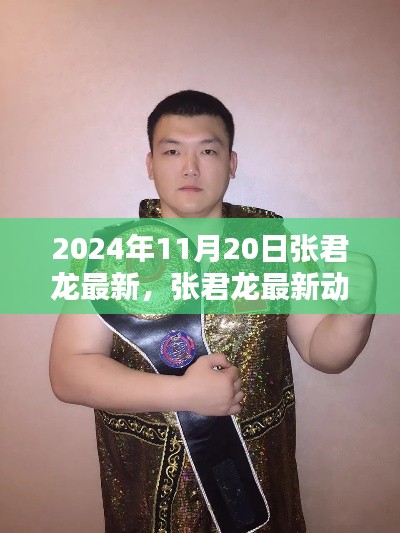 张君龙最新动态揭秘，2024年11月20日三大要点聚焦