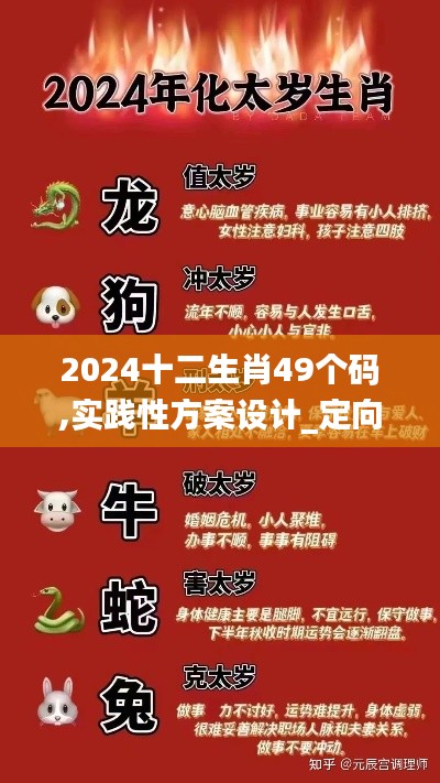 2024十二生肖49个码,实践性方案设计_定向版ZHE6.58