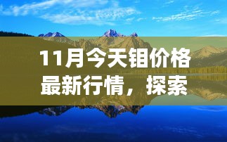 钼价最新动态与探索自然美景之旅，宁静力量与旅行意义的探索