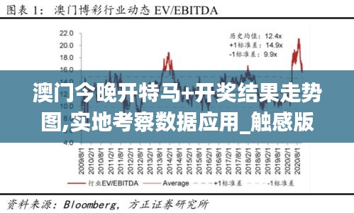 澳门今晚开特马+开奖结果走势图,实地考察数据应用_触感版BMC2.29