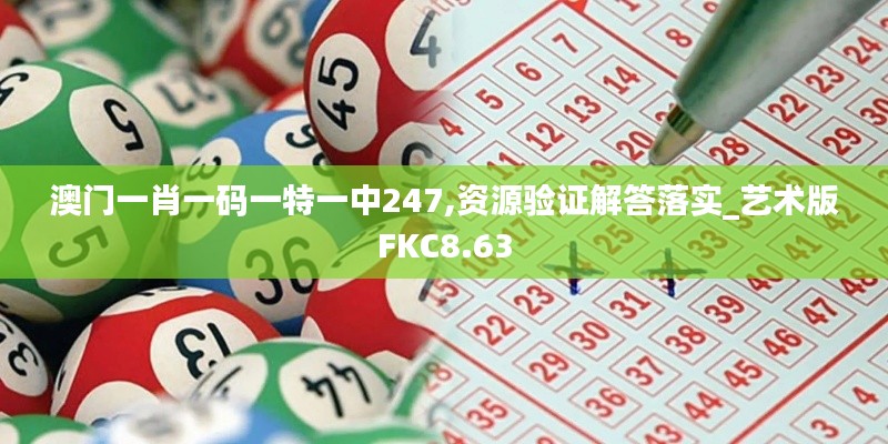 澳门一肖一码一特一中247,资源验证解答落实_艺术版FKC8.63