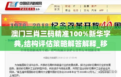 澳门三肖三码精准100%新华字典,结构评估策略解答解释_移动版MMC2.16