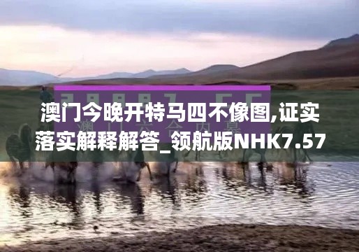 澳门今晚开特马四不像图,证实落实解释解答_领航版NHK7.57