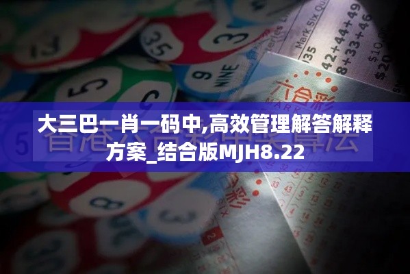 大三巴一肖一码中,高效管理解答解释方案_结合版MJH8.22