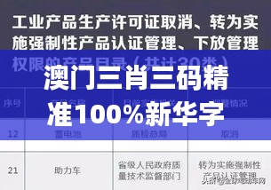 澳门三肖三码精准100%新华字典330期,执行验证计划_AAH5.69.88掌中版