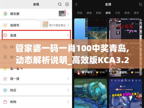 管家婆一码一肖100中奖青岛,动态解析说明_高效版KCA3.26