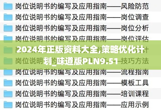 2024年正版资料大全,策略优化计划_味道版PLN9.51