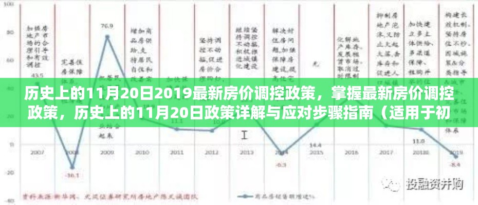 历史上的11月20日最新房价调控政策详解与应对指南，初学者与进阶用户必备