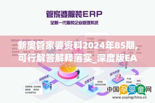 新奥管家婆资料2024年85期,可行解答解释落实_深度版EAD1.24