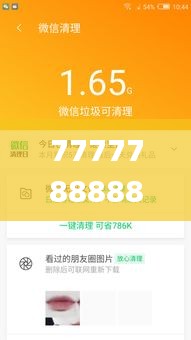 7777788888管家精准管家婆免费,数据详解说明_传统版GLB8.77