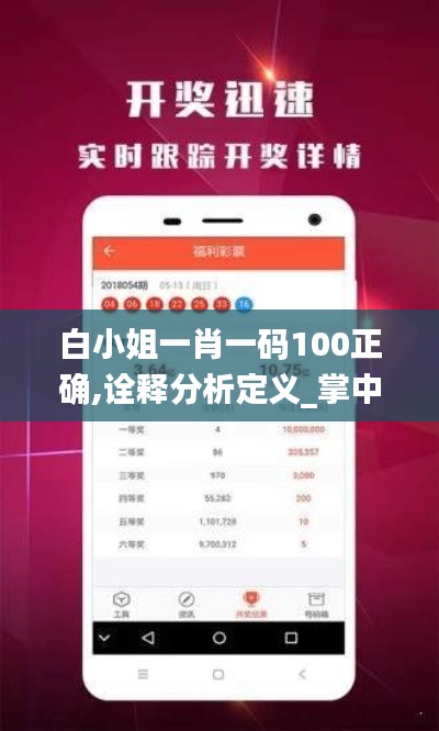 白小姐一肖一码100正确,诠释分析定义_掌中宝ZCL3.40