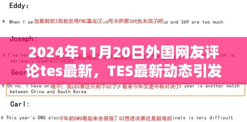 外国网友热议TES最新动态，深度解析与评论 2024年11月20日最新更新