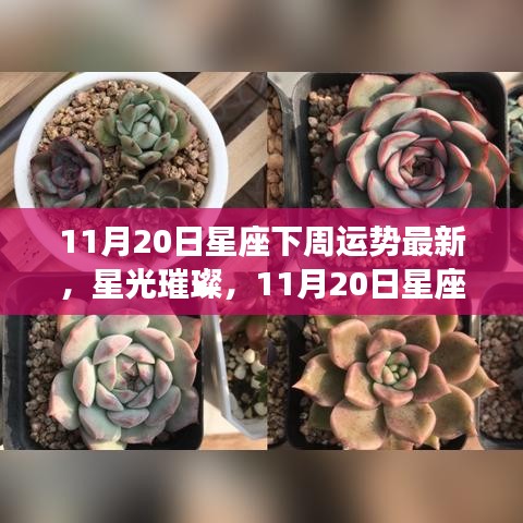 11月20日星座下周运势展望，星光璀璨下的自信与成就感之旅