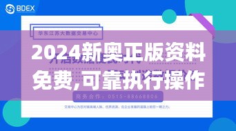 2024新奥正版资料免费,可靠执行操作方式_闪电版VCX7.69