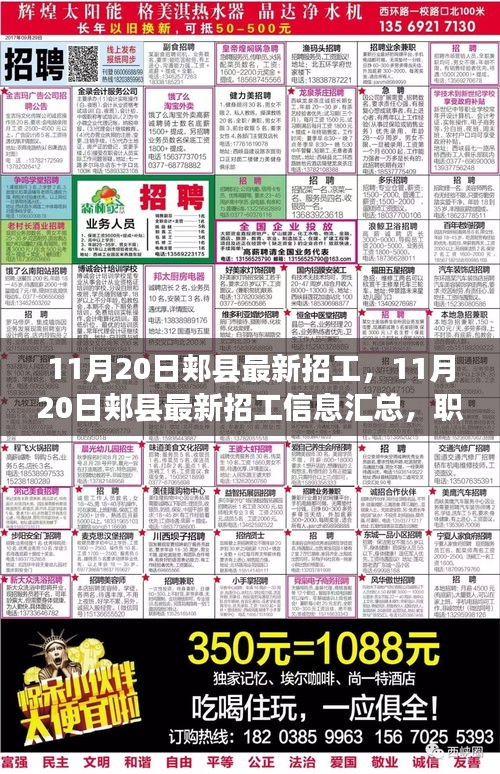 11月20日郏县最新招工信息汇总，职场新机遇等你来挑战