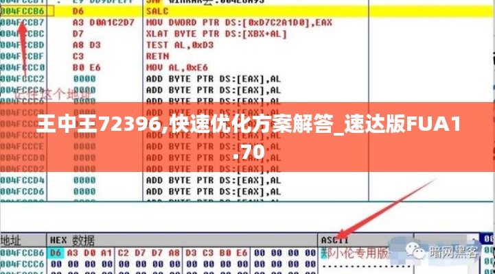 王中王72396,快速优化方案解答_速达版FUA1.70