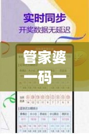 管家婆一码一肖100准334期,学者解答解释落实_IRS7.54.98高速版