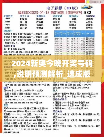 2024新奥今晚开奖号码,说明预测解析_速成版CLN4.50