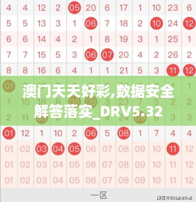 澳门天天好彩,数据安全解答落实_DRV5.32